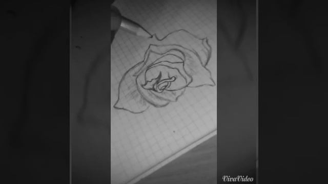 Рисунок Тилека Калканова мой зять! ?