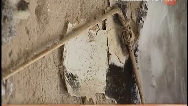 Стены общежития на Уралмаше покрылись плесенью и...