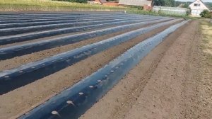 Бугры для клубники! Нарезаем под заказ!