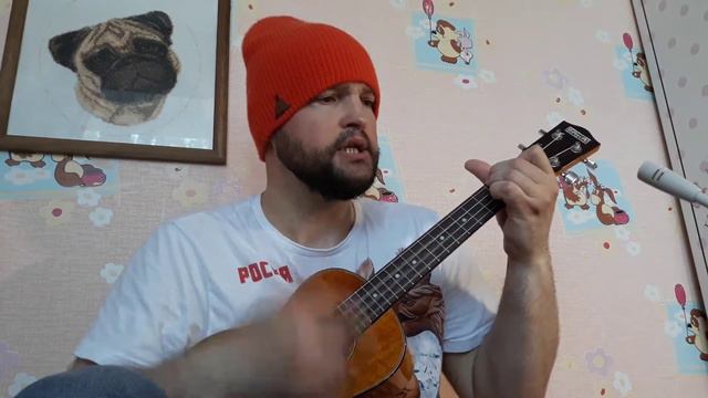 Rammstein - Ohne Dich (аккустическая версия на укулеле)