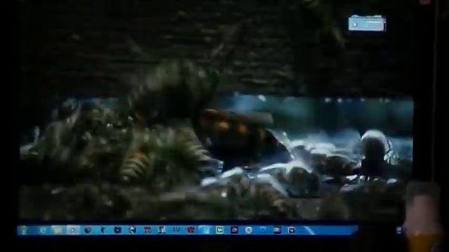 шершень нападает на всю толпу японских пчел смотреть онлайн