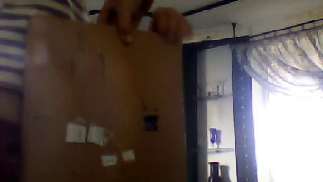 Видео с веб-камеры. Дата: 20 октября 2013 г., 10:12.