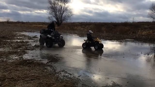 Квадроциклы   Kymco Maxxer 90   BRP 800