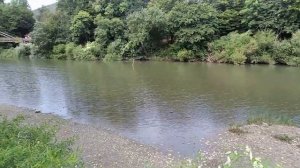 Отзыв о курсовке в санатории Горячий Ключ. О доступности, эмоциях, пользе.