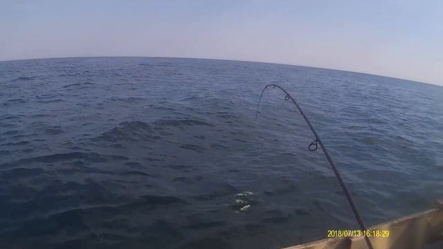 Рыбалка в Крыму супер рыбалка на Черном море смотреть онлайн