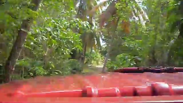 Excursion to Playa Rincon смотреть онлайн