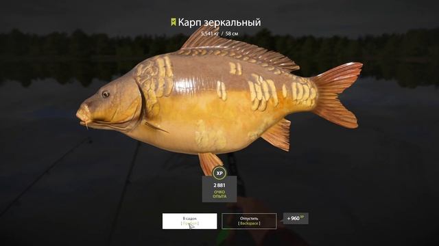Русская рыбалка 4 озеро Янтарное КАРП russian fishing 4 (РР4) lake Amber CARP FARM смотреть онлайн
