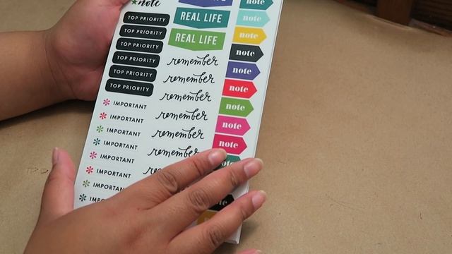 1486 stickers! The Happy Planner "EVERYDAY PLANS" Value Pack Flip-Through смотреть онлайн