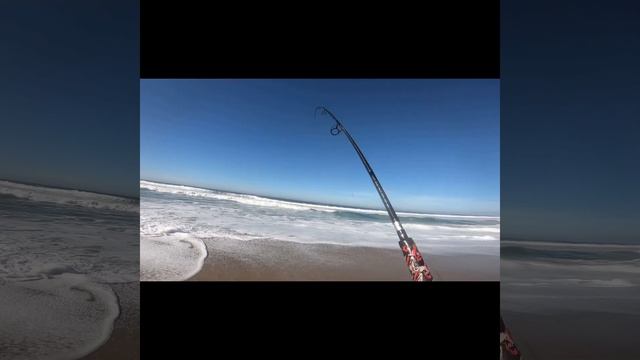 BARRED SURF PERCH FISHING ON THE CALIFORNIA COAST USING GULP WORMS 2021 смотреть онлайн