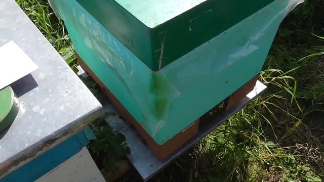 Ответы на вопросы по весам для улья смотреть онлайн