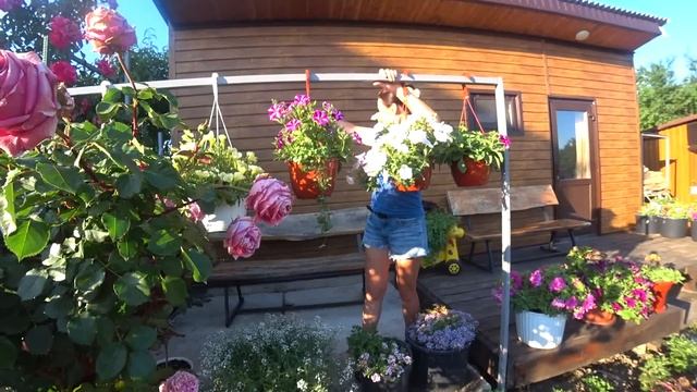 О моих цветах. Подкормка для цветов в горшках. смотреть онлайн