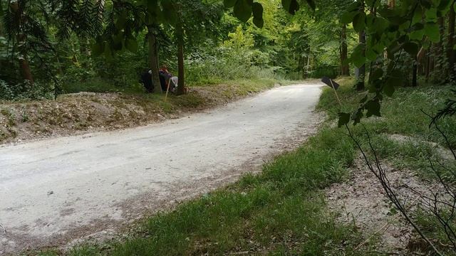 Audi Quattro S1 Goodwood Rally Stage смотреть онлайн