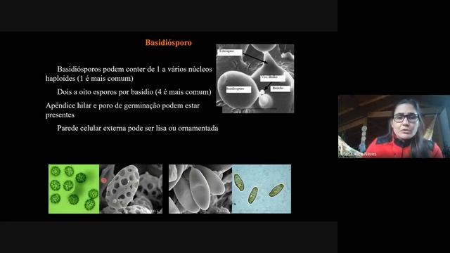 Basidiomycota sensu lato смотреть онлайн