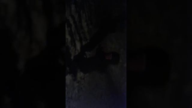 На улице ночью смотреть онлайн