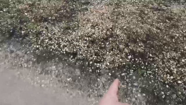 Наш глава отводит воду, там где надо для народу. Вечером и до утра по дорогам льёт вода. смотреть онлайн