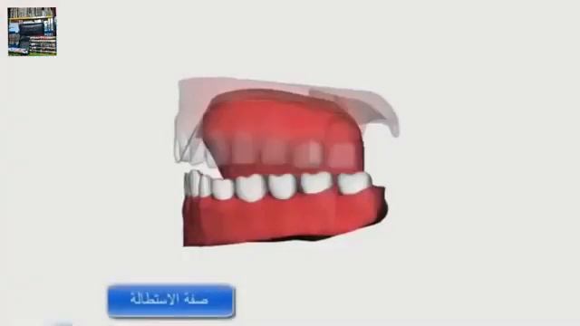 Махрадж буквы ض (3d) смотреть онлайн
