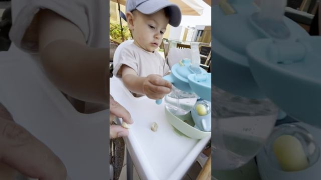 Домашняя суета.