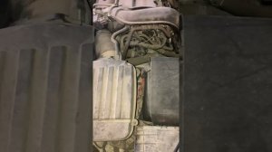 Где номер двс CAX Шкода