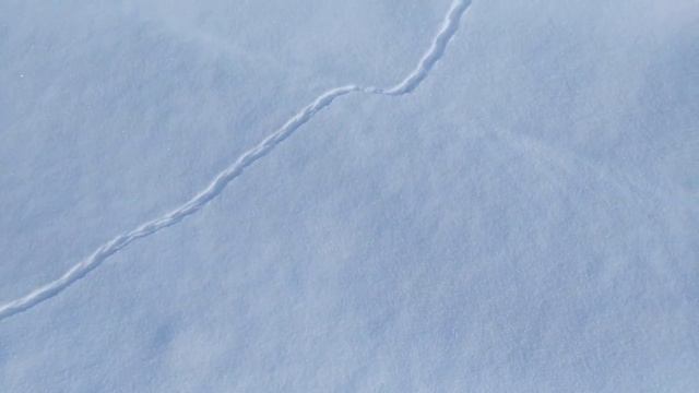 АРТЫБАШ.Смотровая площадка Тилан Туу зимой. Горный Алтай. Телецкое. смотреть онлайн