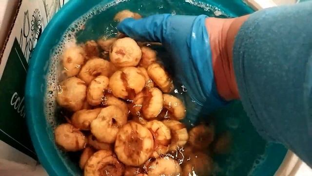 Распаковка. Шоубокс, гладиолусы сорта "Присцилла" смотреть онлайн