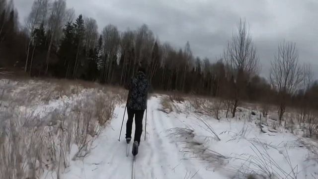 Первые шаги на лыжах неудачная покупка лыжпрогулка по лесу