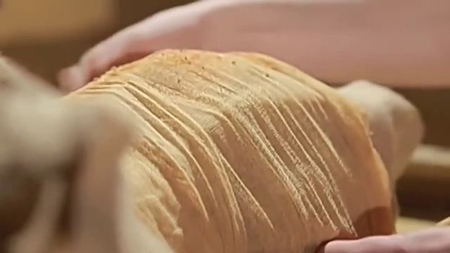 Польза хвойных смол смотреть онлайн