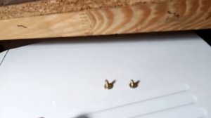 Замена двигателя в микроволновой печи SAMSUNG M1712NR