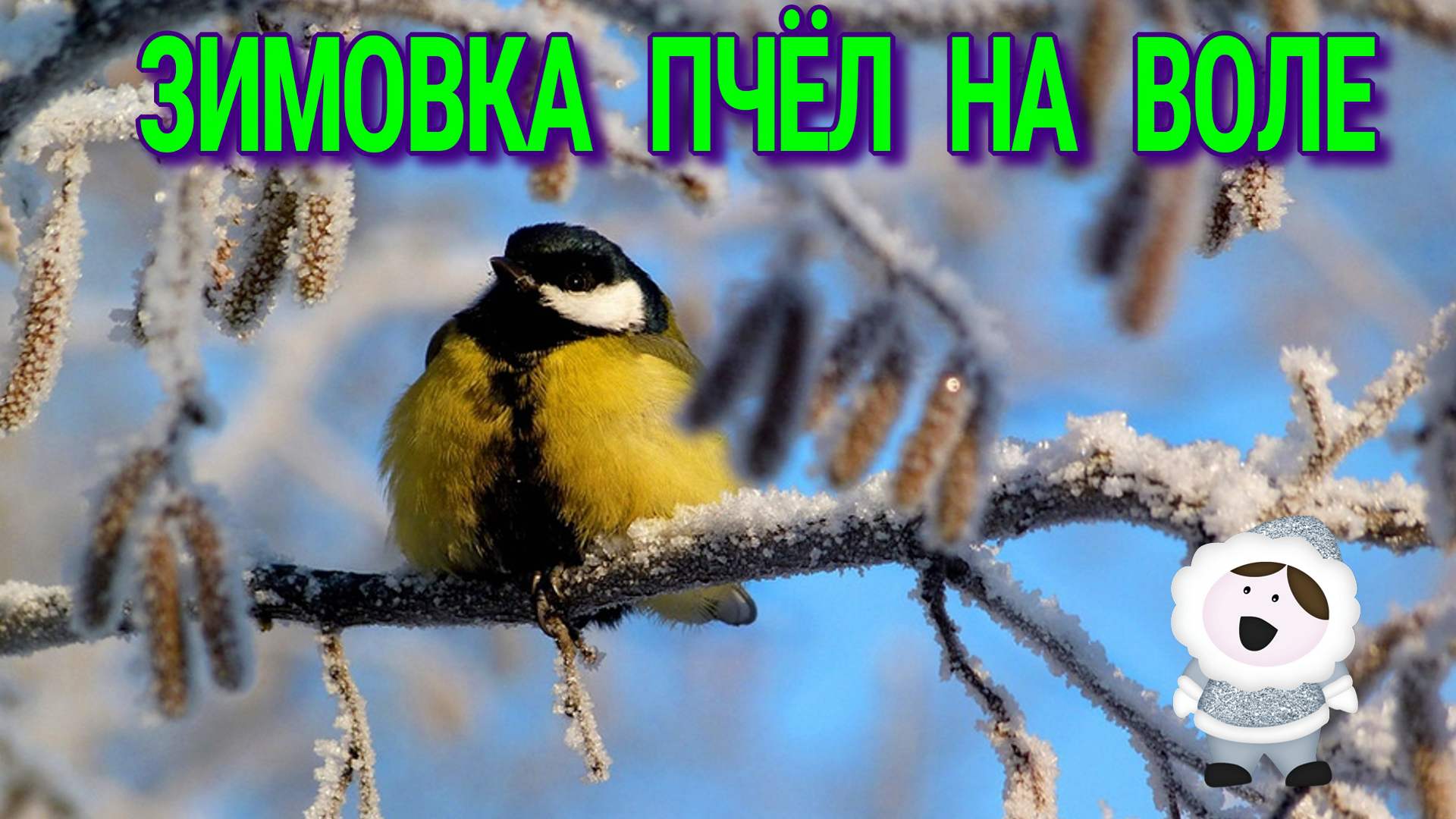 ЗИМОВКА ТОЛЬКО НАЧАЛАСЬ. смотреть онлайн