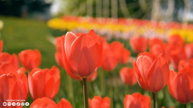 Послушайте эту музыку и вам станет легче ? Успокаивающая музыка для нервов #2 смотреть онлайн