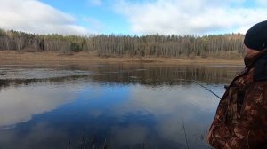 Ловля речной плотвы весной на поплавочную удочку...