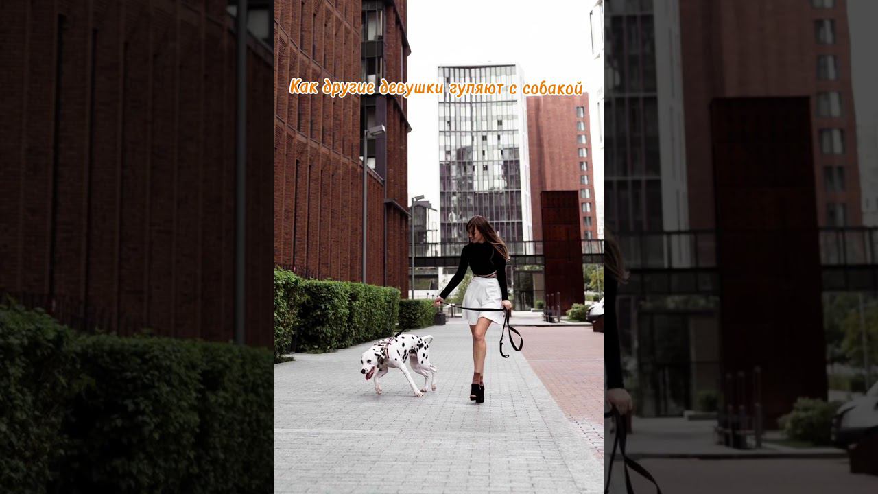 Как другие девушки гуляют с собакой и как гуляю я) #гуляюссобакой #dog #собака #весна смотреть онлайн