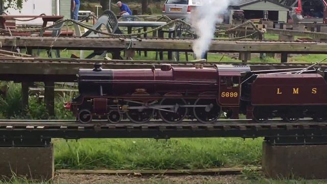 Pacing 5699 'Galatea' (2) - 03/08/2016 смотреть онлайн