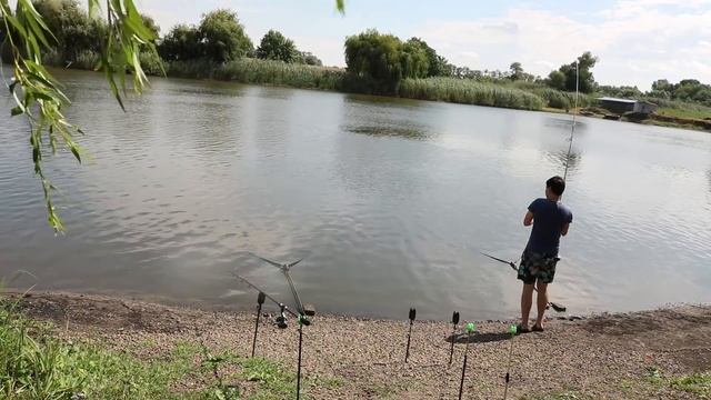 ЛОВЛЯ КАРПА и Амура с ночевкой летом Водоём Жуковский КАРПФИШИНГ смотреть онлайн