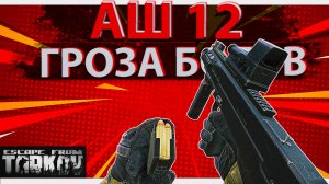 Обзор на АШ 12 в игре Escape from Tarkov, гроза ботов!
