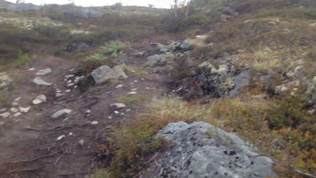 24 Отчаянная погоня за зайцем смотреть онлайн