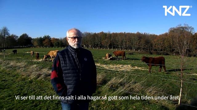 Erik Pottier om KNZ slickstenar för kor смотреть онлайн
