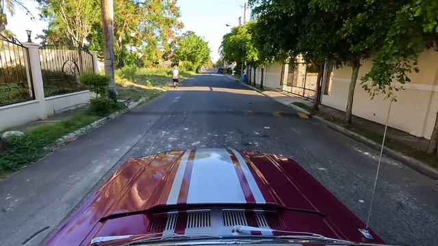 Знаменитый 1967 Ford Mustang GT: редкая классика для продажи в Доминиканской Республике! смотреть онлайн