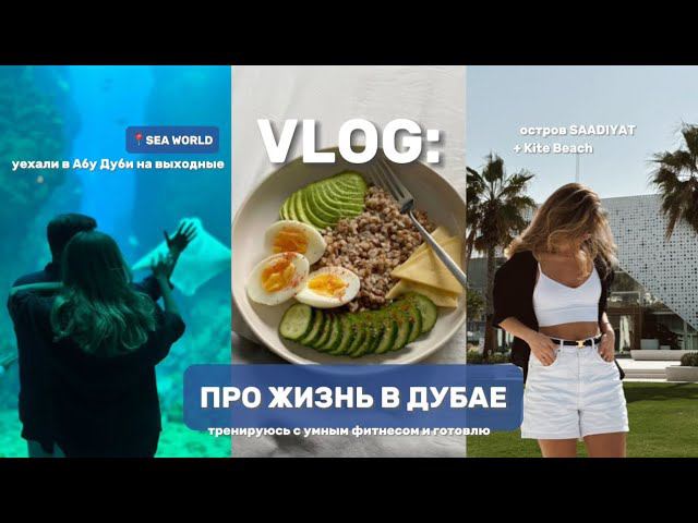 ВЛОГ ПРО ЖИЗНЬ В ДУБАЕ: выходные в АБУ ДАБИ // умный фитнес // Sea World // убираюсь на кухне смотреть онлайн