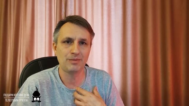 Как выбрать хороший корм для кошки смотреть онлайн