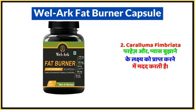 Wel-Ark Fat Burner Capsule Uses in Hindi | Side Effects | Dose смотреть онлайн