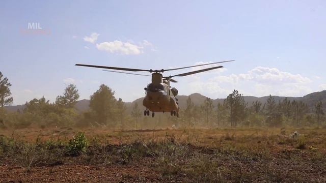 Helicopter CH-47 Chinook flies reconnaissance mission in a for Exercise Tradewinds 2022 смотреть онлайн
