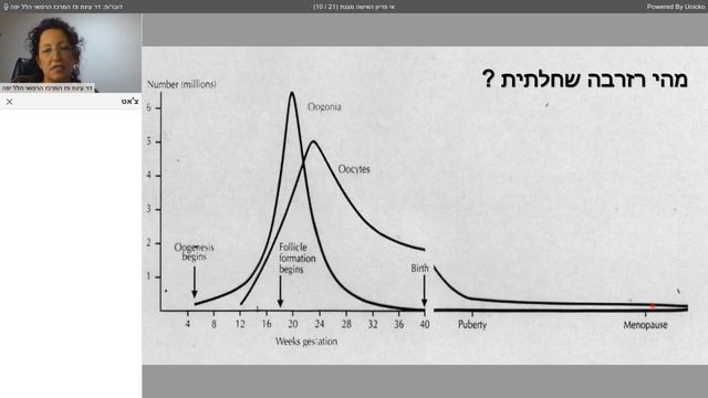 שימור פוריות - המרכז הרפואי הלל יפה - WeTalkMed смотреть онлайн