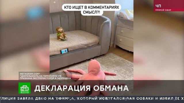 Блогер Лерчек (ler_chek) не платила налоги