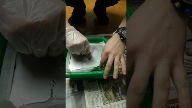 Аквапринт. Первый раз. смотреть онлайн