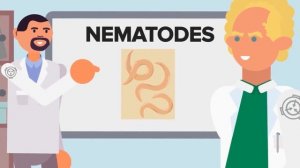 SCP-113 - Переключатель Пола