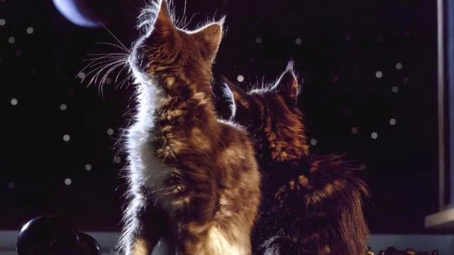 Романтическая музыка 2 смотреть онлайн