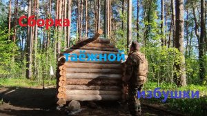 Строительство таёжной избушки ч.5 Сборка. #hunting #рыбалка #лес