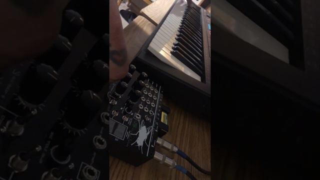 X1l3 Shard versus Yamaha PSR-215 смотреть онлайн