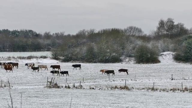 Спокойная, нежная и успокаивающая музыка для сна!Прекрасная музыка для релакса и сна!!! смотреть онлайн