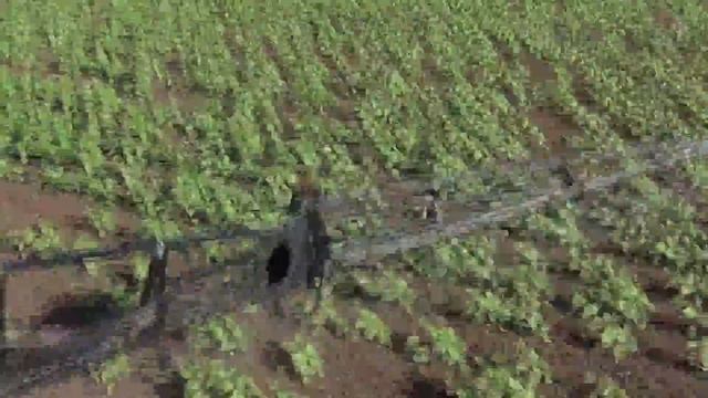 Компьютер на самоходный опрыскиватель.GPS AGRO SYSTEM. Автоматизация опрыскивания смотреть онлайн